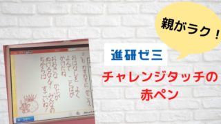 チャレンジタッチは口コミでよくないのは本当 受講者が検証しました はならっこブログ